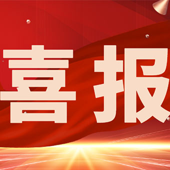 開局即領(lǐng)跑！河南豐博以硬核實(shí)力，解鎖馬年 “第一份榮耀”