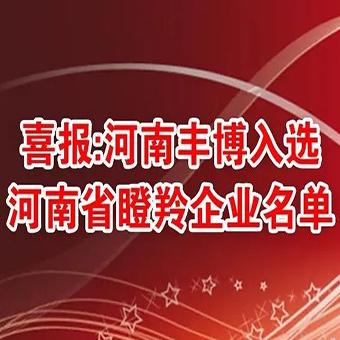 喜報：河南豐博入選河南省瞪羚企業(yè)名單